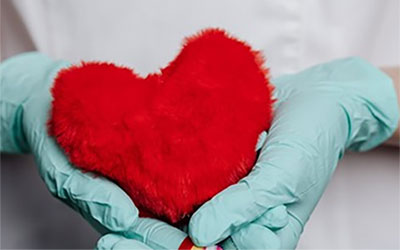 February 2024 Newsletter: Heart Health